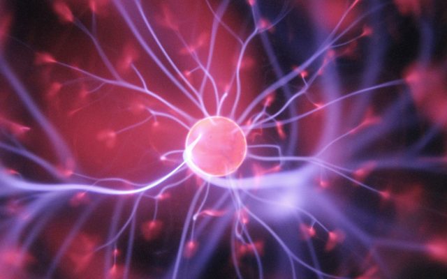 What Does the Future Look Like?