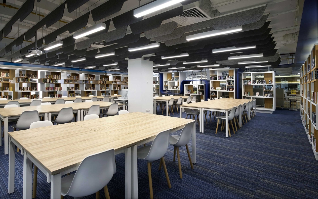 The British International School