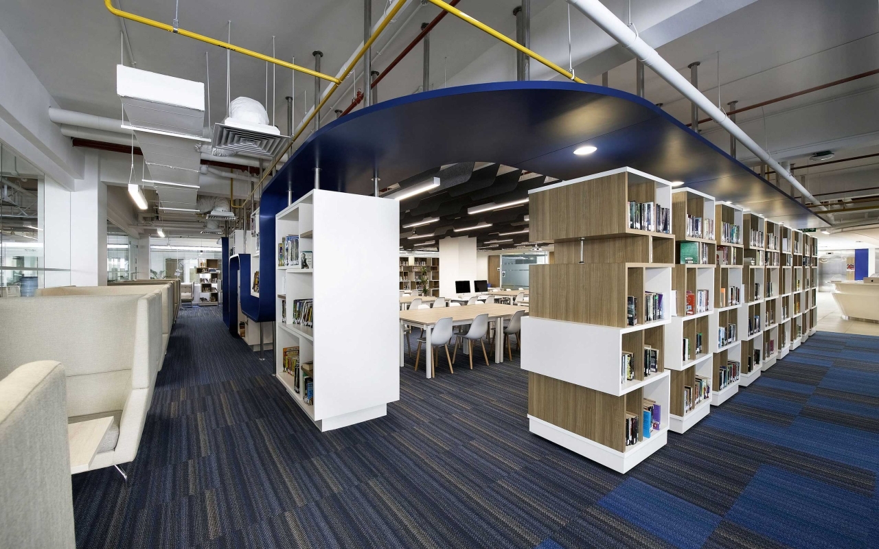 The British International School