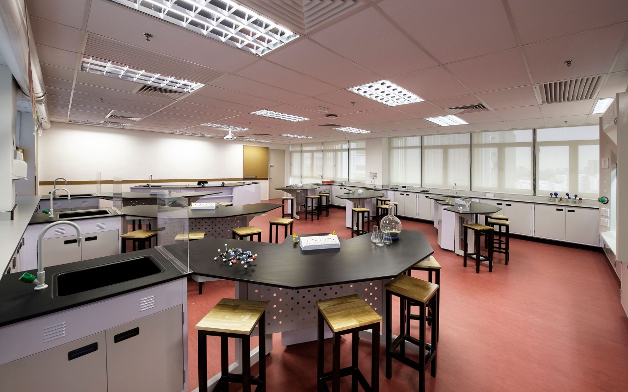 The British International School