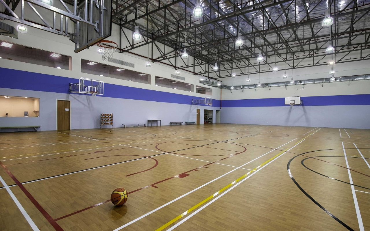 The British International School